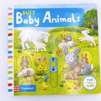 Busy Baby Animals